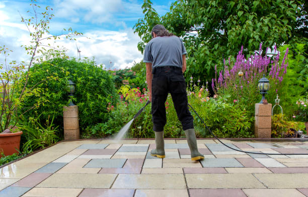 Best Fence Cleaning  in Shelburn, IN